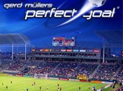 Perfect Goal